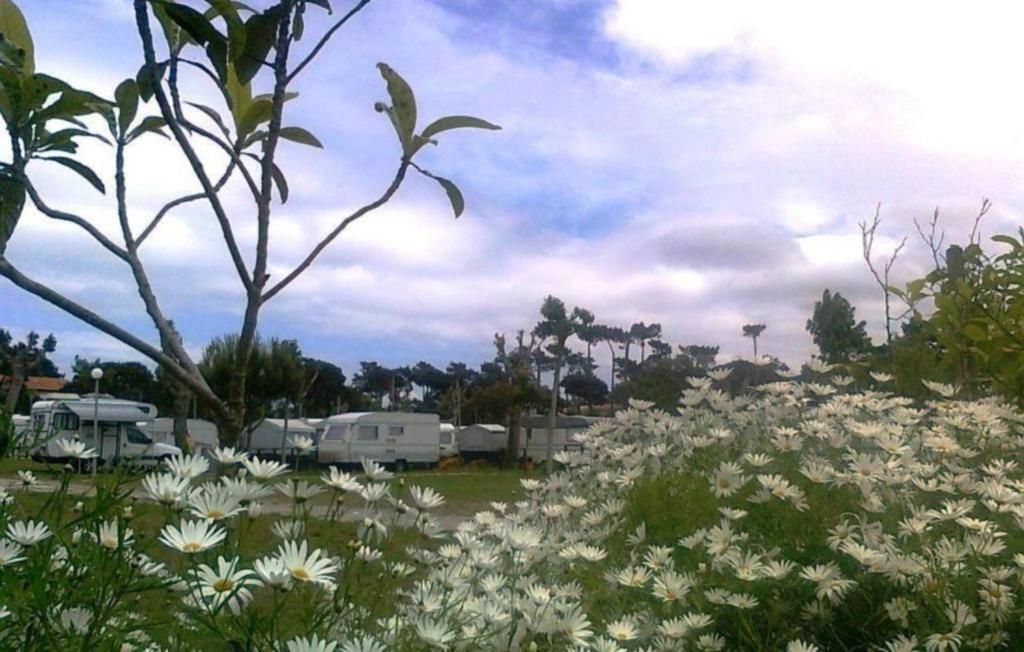 Parque De Campismo De Fao Hotel Kültér fotó